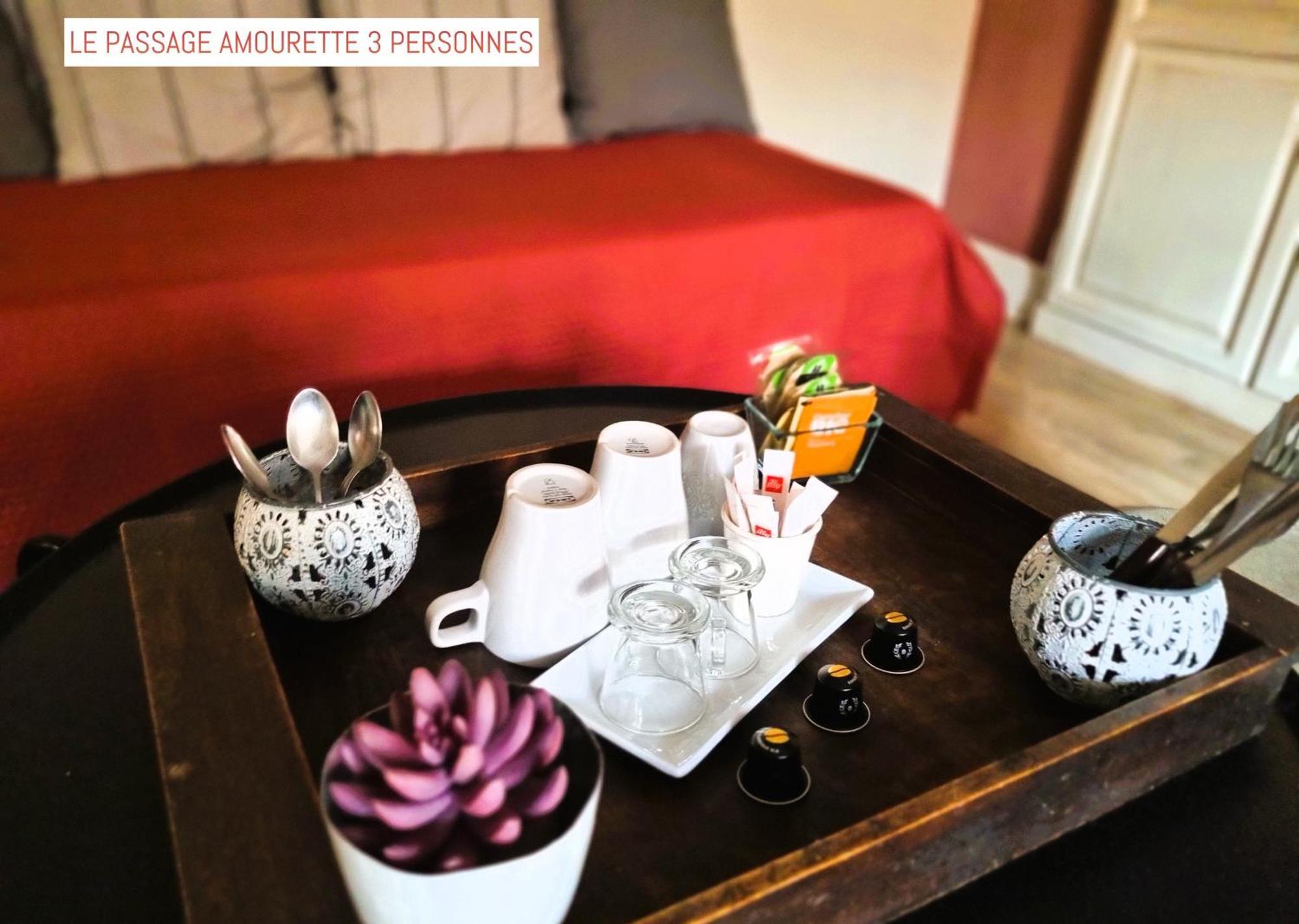 Le Passage Bed & Breakfast Carcassonne Ngoại thất bức ảnh